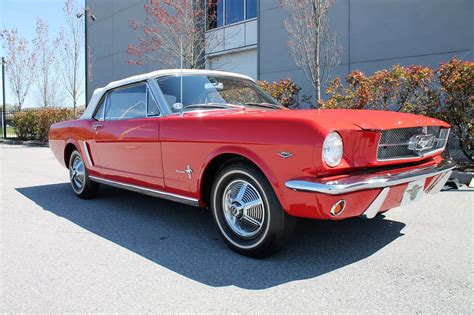 John's Mustang: 1964